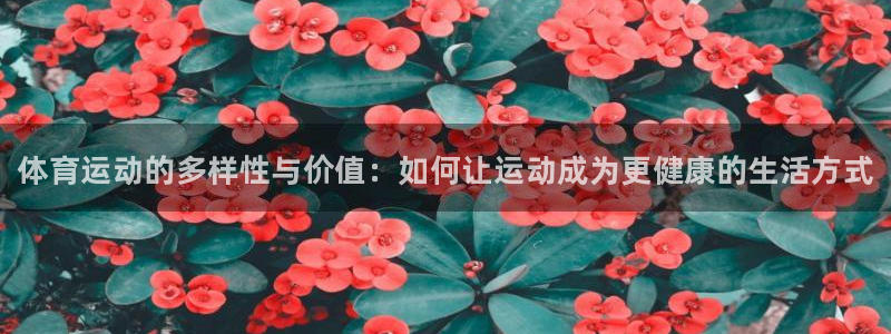 vsport体育官方正版app娱乐：体育运动的多样性
