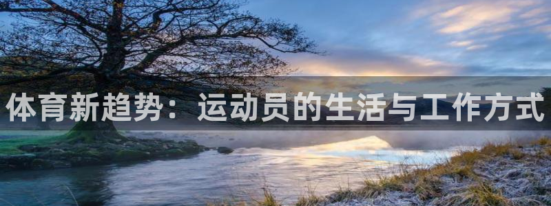 vsport体育官方正版app开户：体育新趋势：运动员的生活