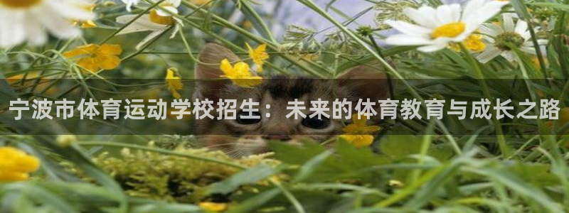 vsport体育官方正版app集团：宁波市体育运动学