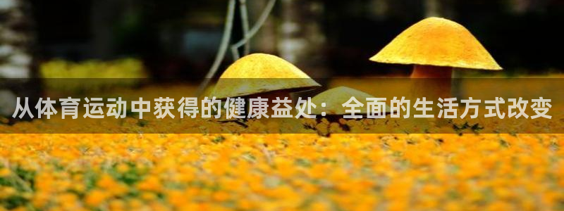 vsport体育官网下载招商电话地址查询