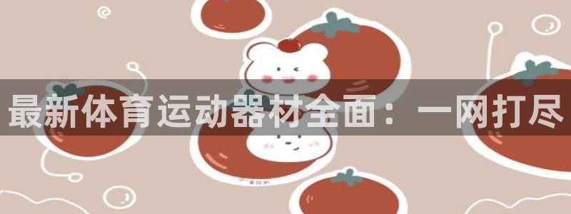 vsport体育官方正版app集团：最新体育运动器材