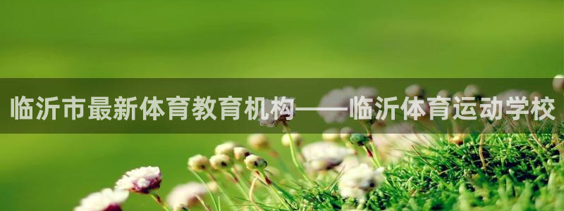 vsport体育官方正版app集团E.ON：临沂市最