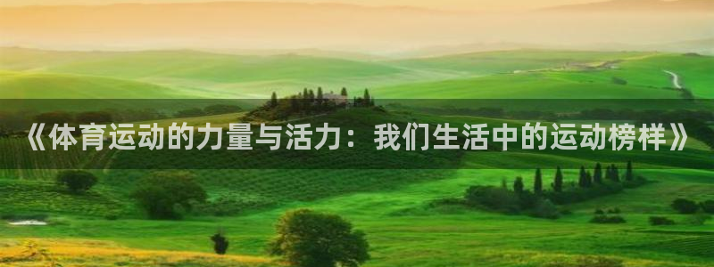 vsport体育官网下载平台假的吗是真的吗：《体育运动的力量