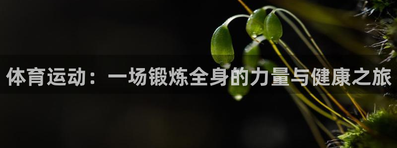 vsport体育官方正版app集团E.ON：体育运动