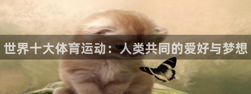 vsport体育官方正版app科技：世界十大体育运动：人类共