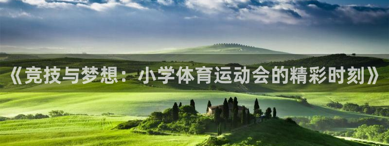 海南vsport体育官网下载发展怎么样：《竞技与梦想：小学体