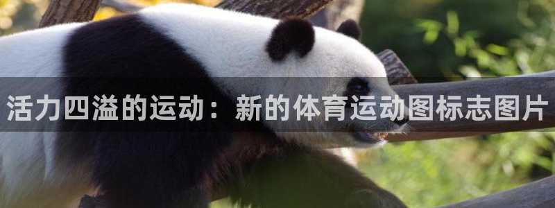 vsport体育官方正版app娱乐40996：活力四