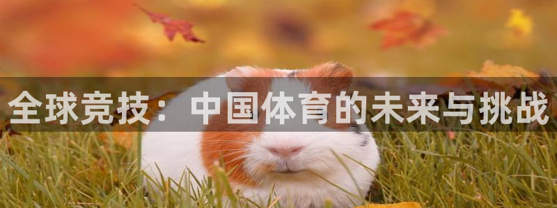 vsport体育官网下载官方客服电话