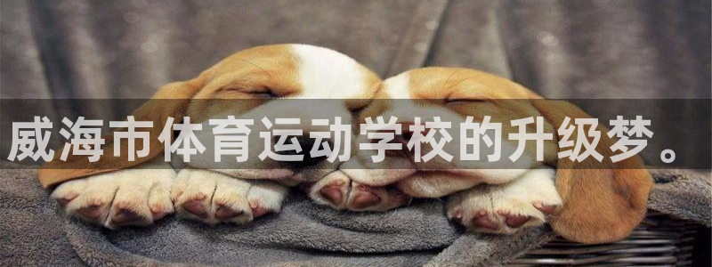 vsport体育官网下载：威海市体育运动学校的升级梦。
