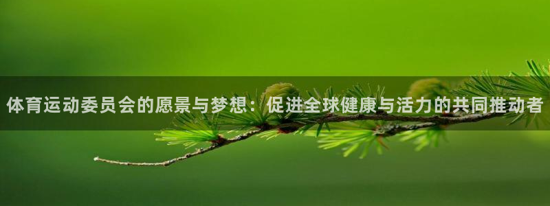 vsport体育官网下载软件：体育运动委员会的愿景与梦想：促