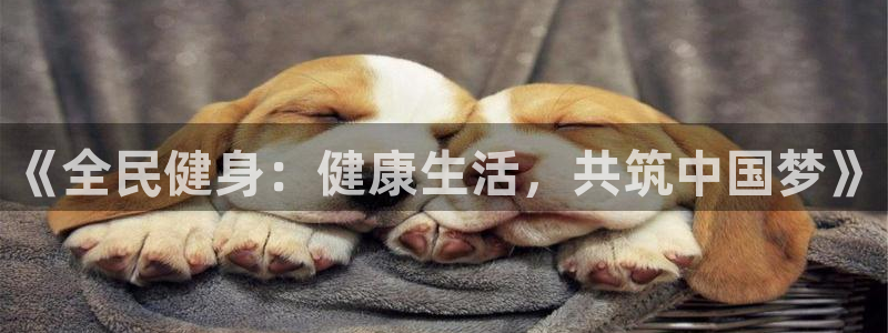 vsport体育官网下载招商电话是多少号码