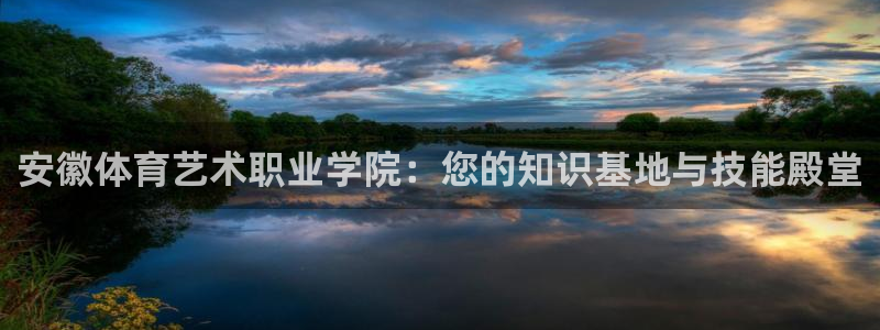 vsport体育官方正版app官网：安徽体育艺术职业