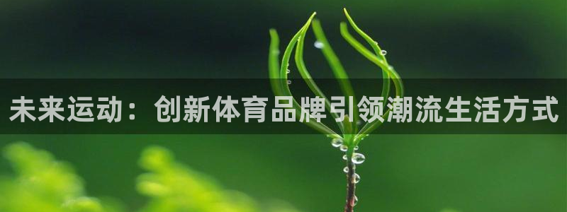 vsport体育官方正版app集团官网网址：未来运动：创新体