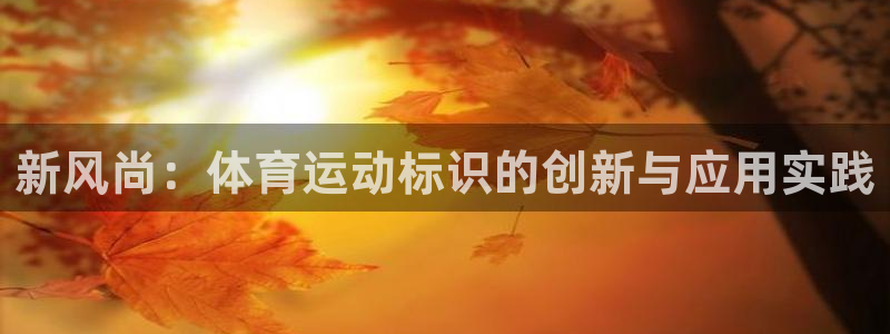 vsport体育平台：新风尚：体育运