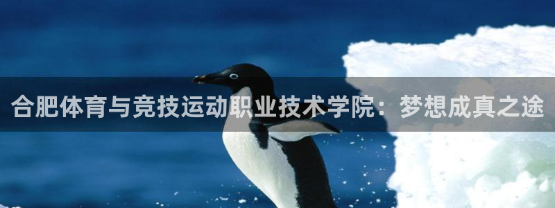  vsport体育官网：合肥体育与竞技运动职业技术学院：梦想成