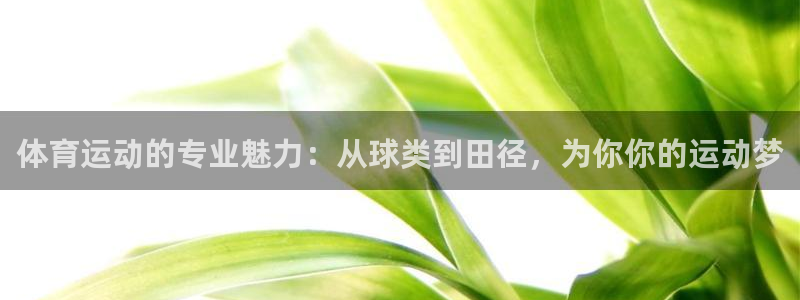 vSport体育app最新版本更新内