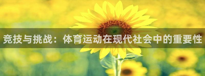 vsport体育官网：竞技与挑战：体