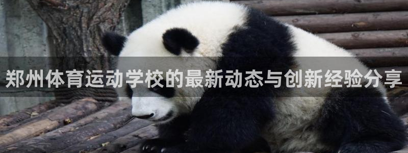 vsport体育在线官网阿根廷：郑州