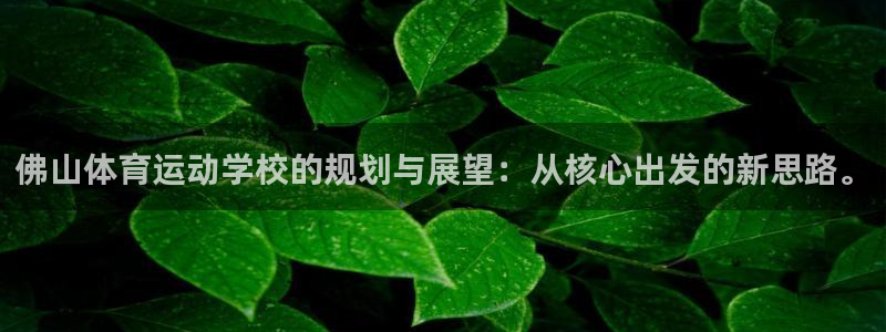 vsport体育在线官网阿根廷：佛山