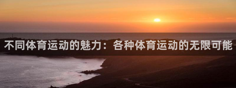 vsport体育平台app