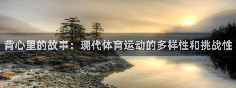 Vsport体育官方网站入口