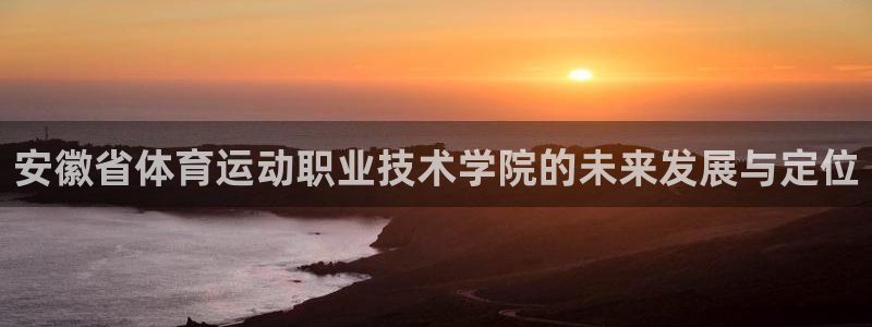 vsport体育在线官网